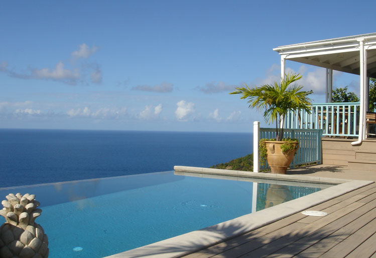 infinity-pool-and-house