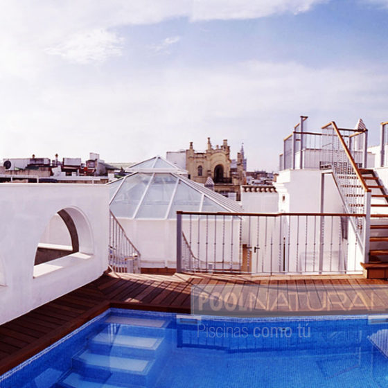 Piscina en la terraza